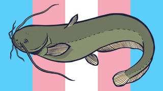Wildest Catfish Story Ever!