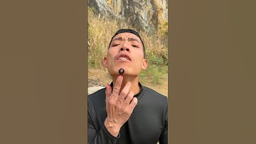 How I Cured a Bug Bite with Yogurt in the Wild | Survival Hacks #camping #shortvideo 😱😂🤣