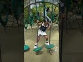 Mini Vlog At Zoo Miami