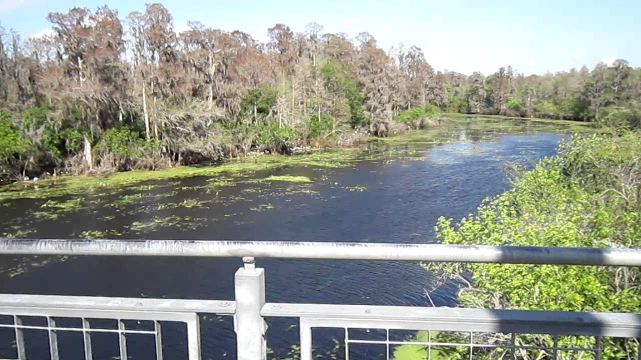Observation Tower at Lettuce Lake Park YouTube
