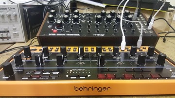 Step In Time, How to sync Behringer Crave & Moog DFAM or other Modular via Assign + Side Chain Demo