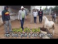 लक्ष्मी गोट फार्म लोहारू हरियाणा | best sojat haidarabadi male female goat | pkraj vlogs