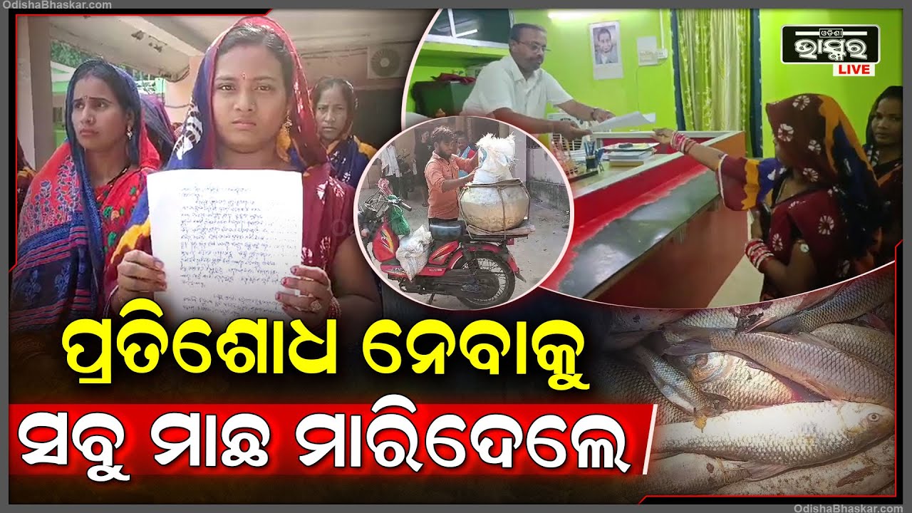 ପ୍ରତିଶୋଧ ନେବା ପାଇଁ ମାଛ ପକାରୀରେ ପକାଇଲେ ଔଷଧ, ମରିଗଲେ କ୍ୱିଣ୍ଟାଲ କ୍ୱିଣ୍ଟାଲ ମାଛ !