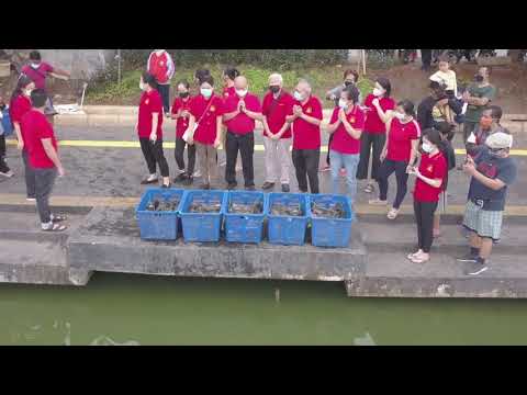 【温馨感人！】印尼心灵法门佛教学会 帮师父放生 | 观世音菩萨心灵法门
