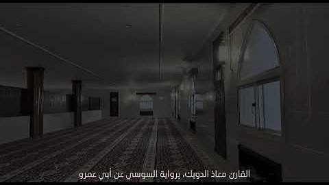 القارئ معاذ الدويك برواية السوسي عن أبي عمرو