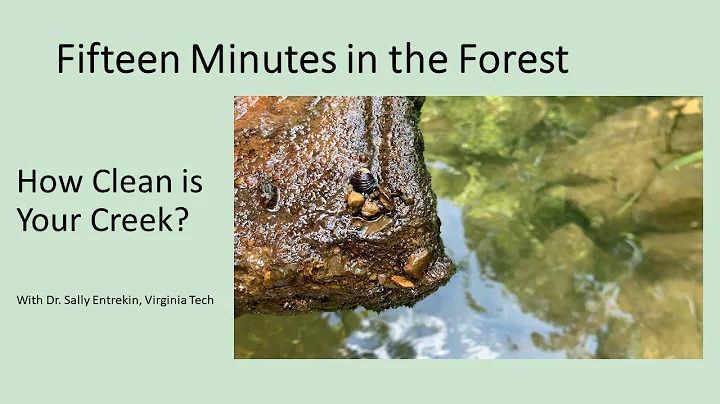 Fifteen Minutes in the Forest: How Clean is Your C...