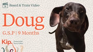 Doug Training Video