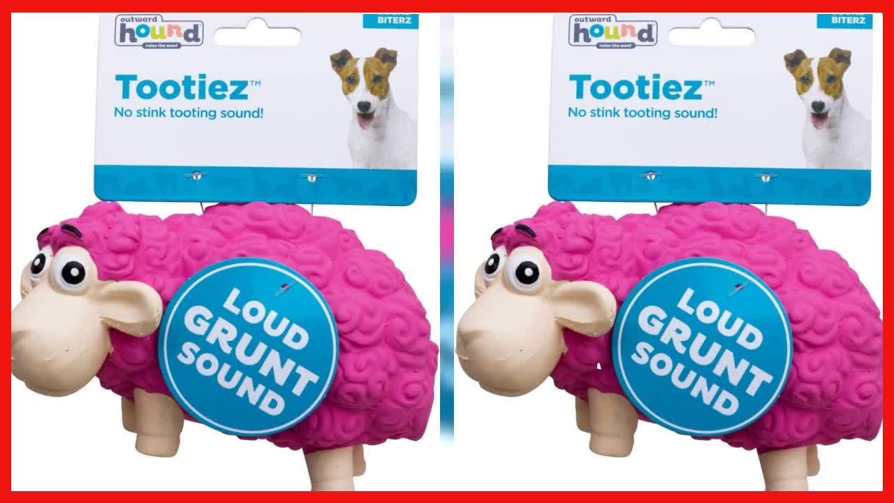 Tootiez Latex Rubber Grunting Dog Toy