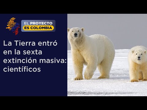 Vídeo: Los Científicos Advierten Que La Tierra Está Amenazada Por La Sexta Extinción Masiva - Vista Alternativa