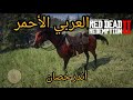 اسهل طريقة تجيب الحصان العربي الاحمر                        حالتي