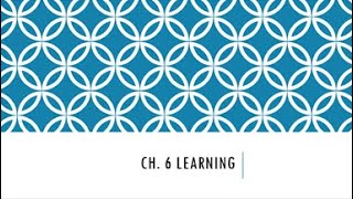 Ch 6 Learning