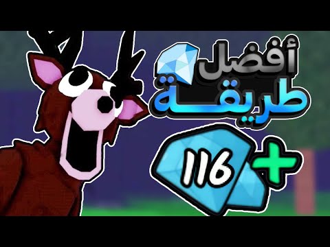 أفضل طرق للحصول على الجواهر في ماب ٩٩ ليلة في الغابة 99    
