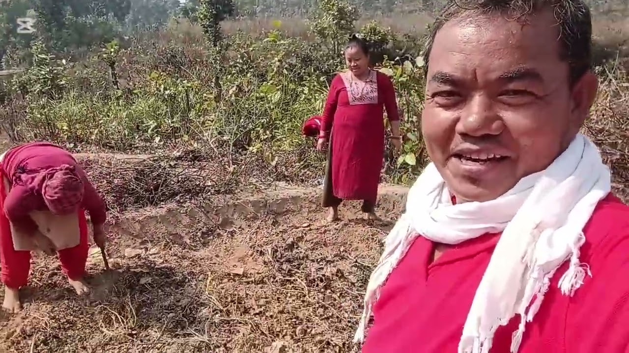  आलु खन्दा को किलीक ।