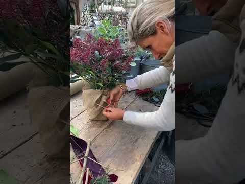 How to Gift Wrap a Plant