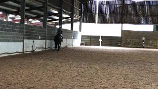 Madalane Gar Prelim 7 Dressage