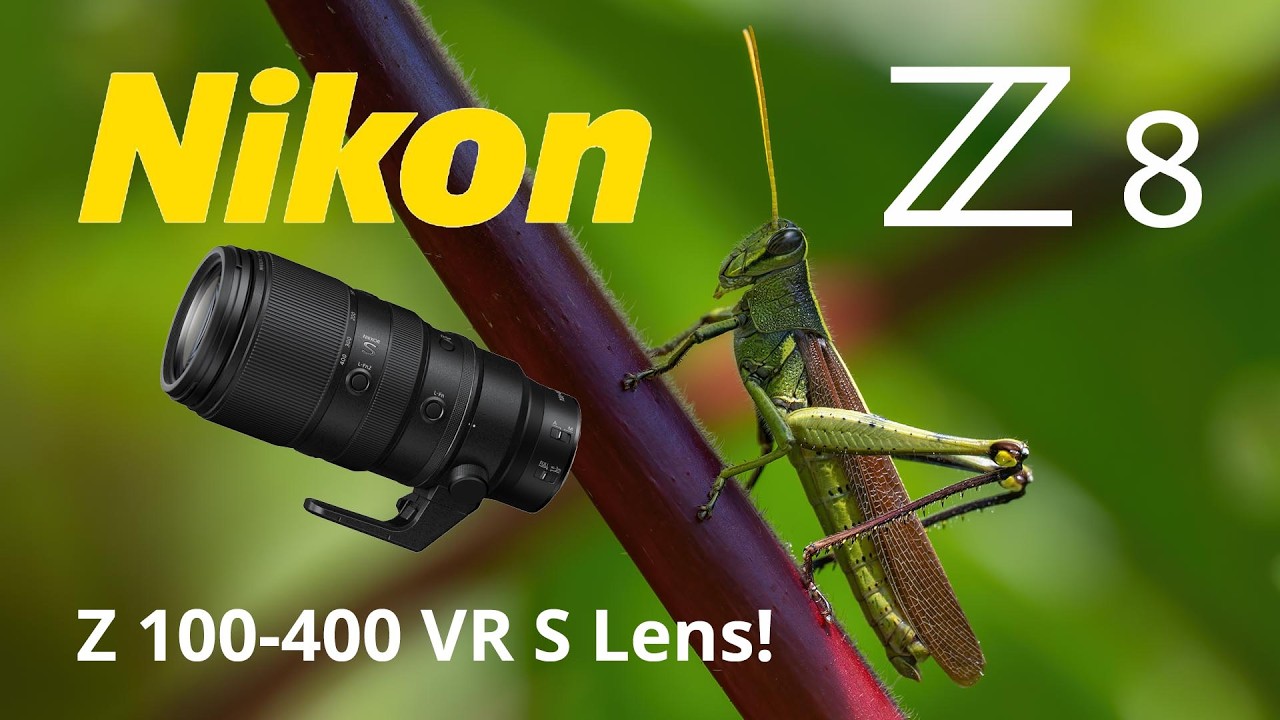 Nikon Z8 Butterflies, Skippers, Grasshoppers, & a Bald Eagle
