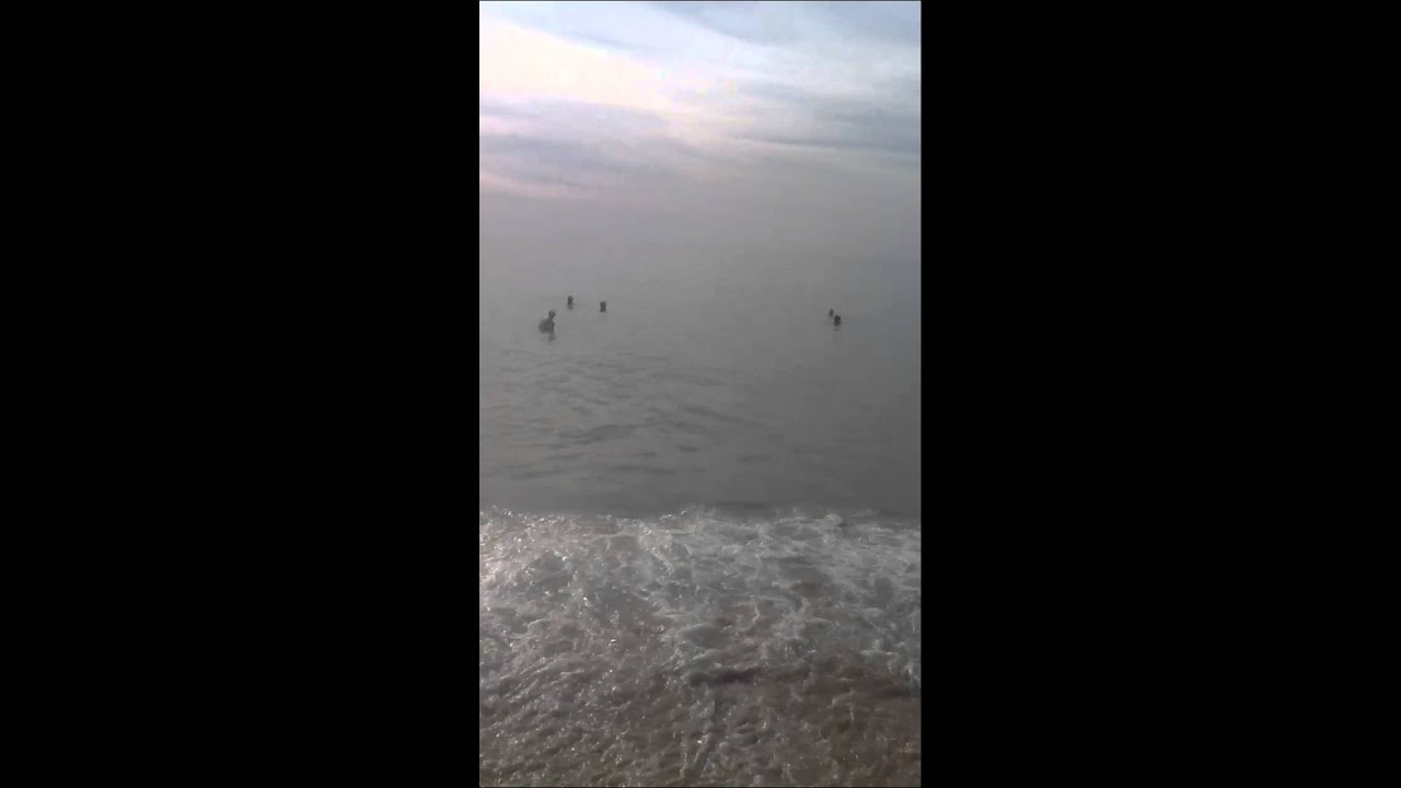 trim 4749CB52 5369 4604 B415 3F58FC6C20B9 - YouTube