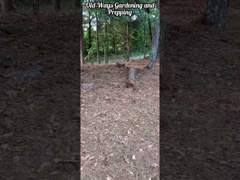 Reclaiming Growing Space Part 2