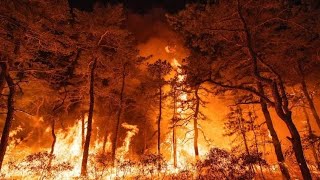 Climate Change Denial Bafoonery