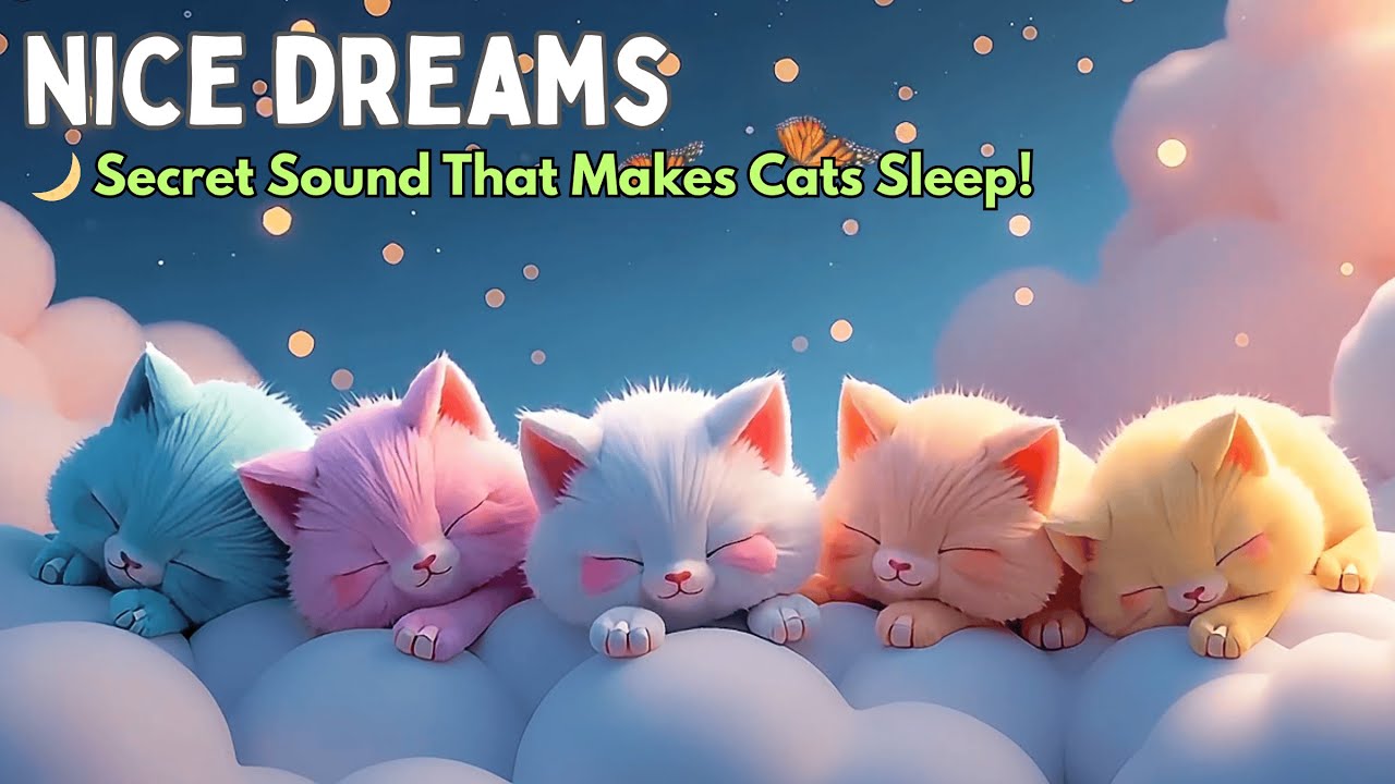 Cat Stress Gone! 🐾🎹 Relaxing Music Mix with Soft Piano for Feline Peace