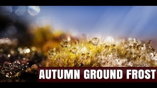 Autumn Ground Frost screenshot 3