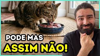 Alimentos Que Gatos PODEM Comer… Mas Podem MATAR Se Usados Errado!
