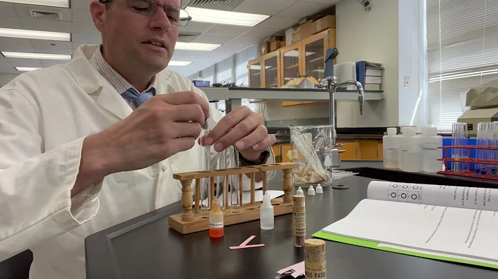 Lab 6 sodium carbonate pH tests