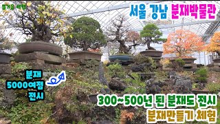 분재박물관 영상