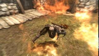 Skyrim In A Nutshell