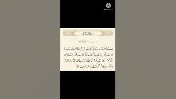 الاية ٤٠ من سورة العنكبوت