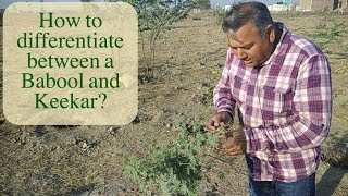 Give me trees trust has planted more than 20 million all across the
country. it was founded by peepal baba, who is one of most renowned
environment...