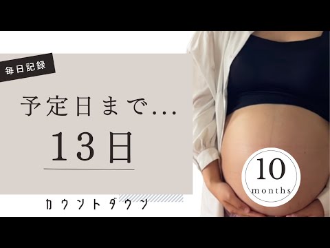 【臨月妊婦】出産予定日まで残り....『13日』｜毎日投稿