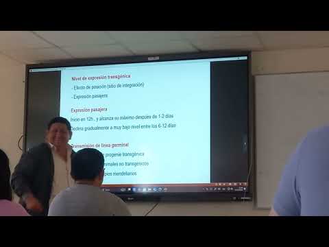 Clase 14 y 15 - Ing. Genetica