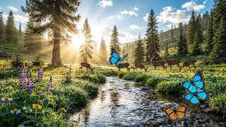 Relaxing Nature Meditation Loop | Peaceful Morning Landscape | 10 Seconds