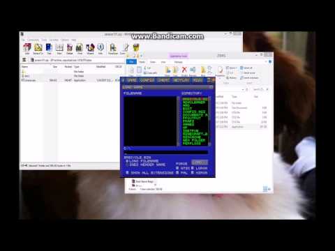 ZSNES Installation