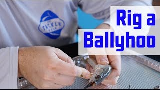 How to Rig a Ballyhoo for MONSTER OFFSHORE FISH