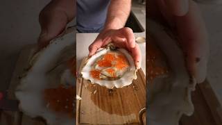 This Oyster Was Huge