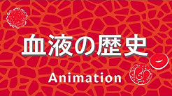 History Animation Channel Youtube History Animation Channel Youtube
