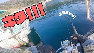 【遠征】大物が釣れると噂の漁港でエビを落としてみると…？