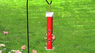 Add a splash of color to your yard with the Perky-Pet® Red Metal Tube Bird Feeder! This bright red feeder is an eye-catching ...