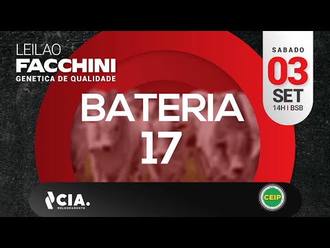 BATERIA 17 LEILÃO FACCHINI 2022