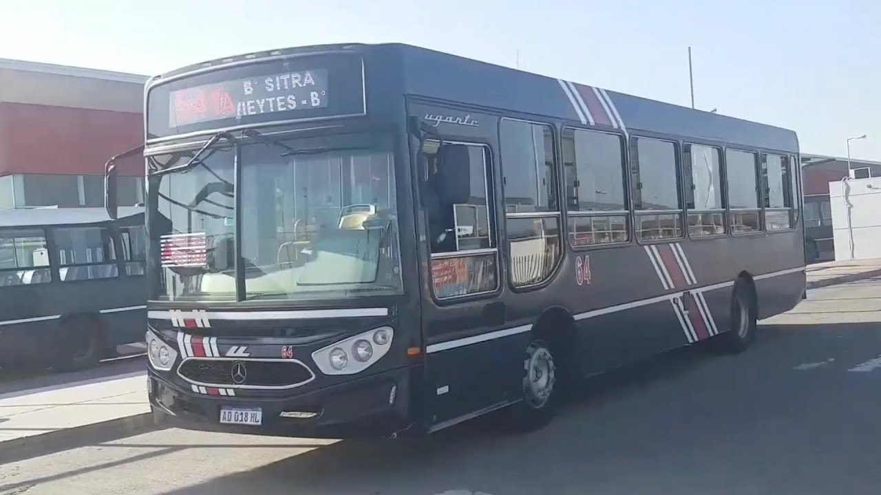 Compilado de Bondis - Parte (1/9)