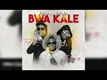 BWA KALE - Mixtape 2023 DJ SMYY