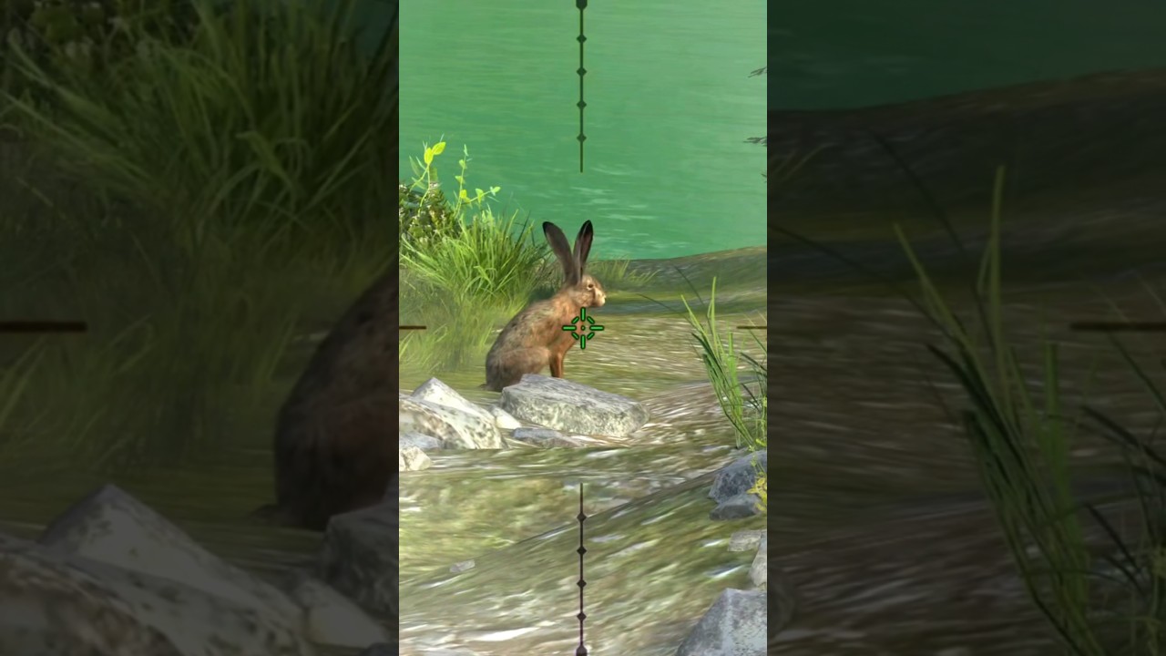 Rabbit Hunting Game 🎯 ll 