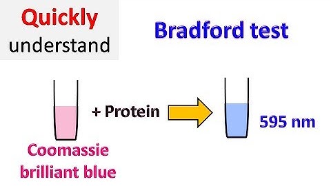 Bradford protein assay | Bradford test