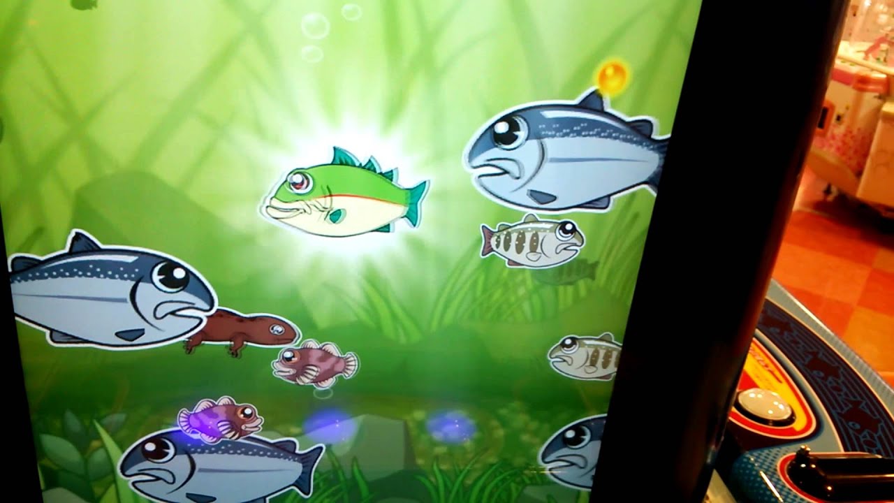 ゲーセンメダルゲーム まんぷく水族館 Video Game - YouTube