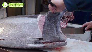 PHI LÊ CÁ NGỪ ĐẠI DƯƠNG CÙNG NEW FRESH  - [HẢI SẢN TƯƠI SỐNG] NEW FRESH MART | KÊNH BÁN LẺ