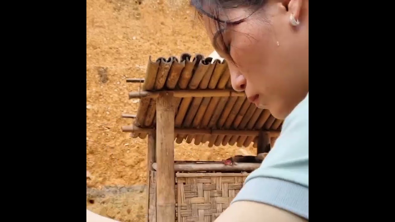  l Build a Beautiful Bamboo Dog House | Simple Village Life