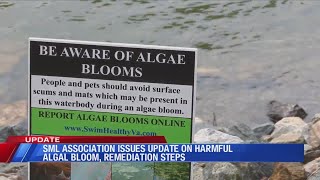 SML Association issues update on harmful algal bloom, remediation steps