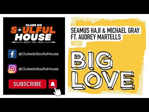 Seamus Haji & Michael Gray Feat. Audrey Martells - Wish (Extended Mix)